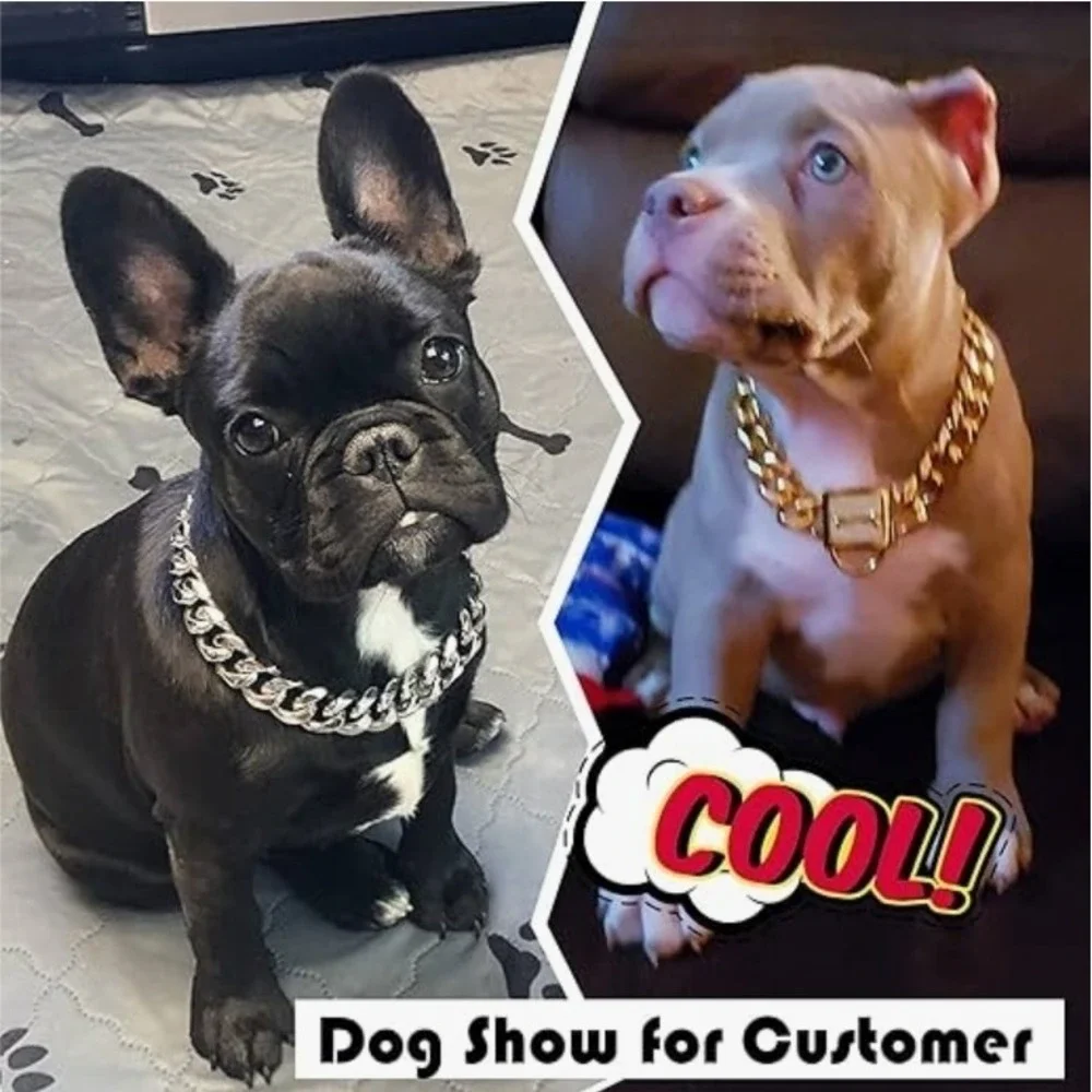 Dog Collar with Zirconia Locking Hand Polished Stainless Steel Metal - 19MM, 12